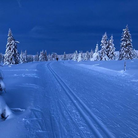 Nordseter Mountain View Apartment With Sauna المظهر الخارجي الصورة